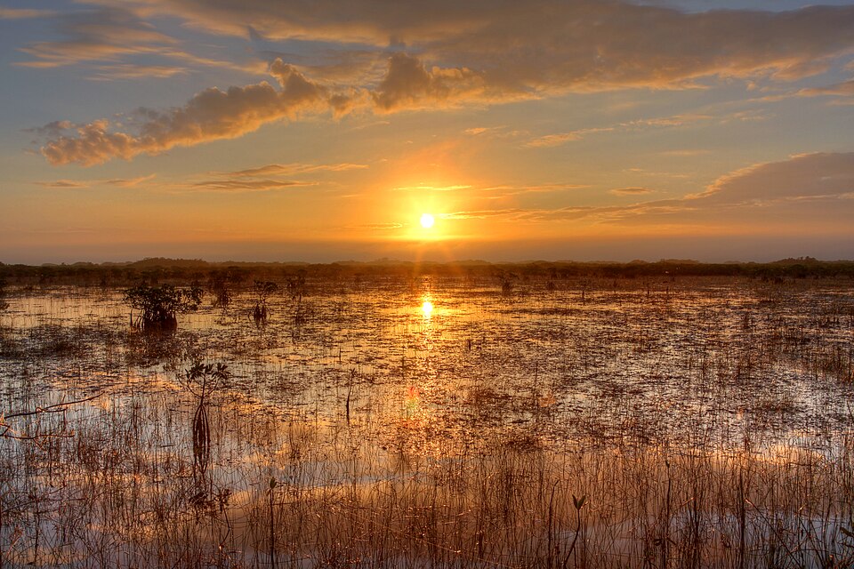 Everglades-Nationalpark